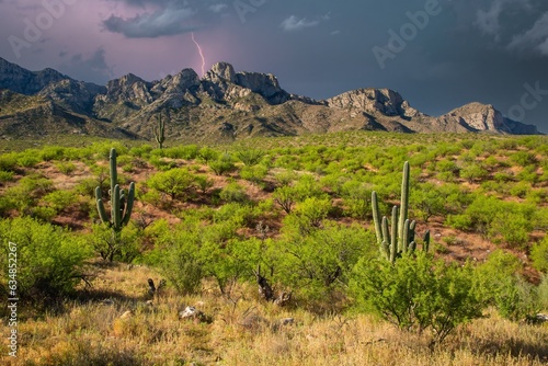 Lightning strikes during an afternoon storm. Saguaro cactus and the Santa Catalina mountains in Catalina State Park north of Tucson, Arizona.  It is adjacent to the Coronado National Forest. photo