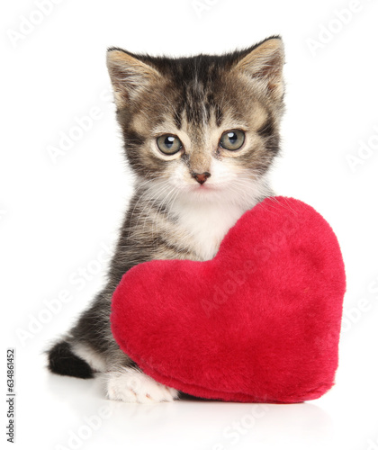 British kitten with a red heart-shaped pillow