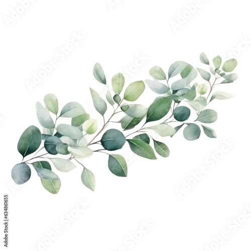 Watercolor eucalyptus branch isolated