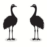 Ostrich silhouettes and icons. Black flat color simple elegant Ostrich animal vector and illustration.