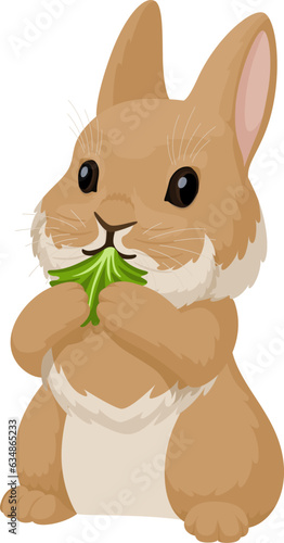 Little cute bunny eats a lettuce leaf, holding it with its front paws. Vector illustration of a rabbit.
