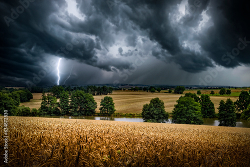 Dramatic sky over a golden wheat fields. Summer scenery with farm fields and forests.