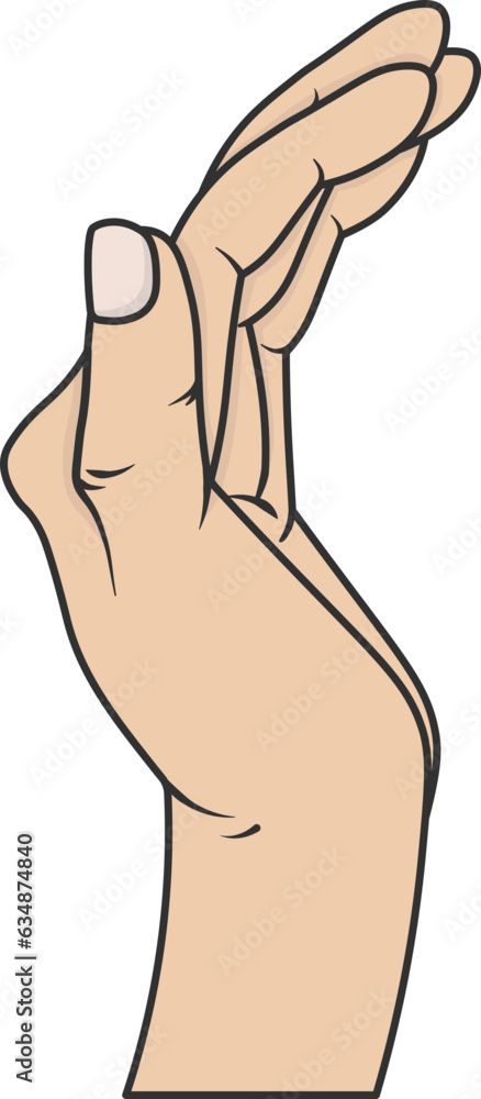 hand of the person hand of the person