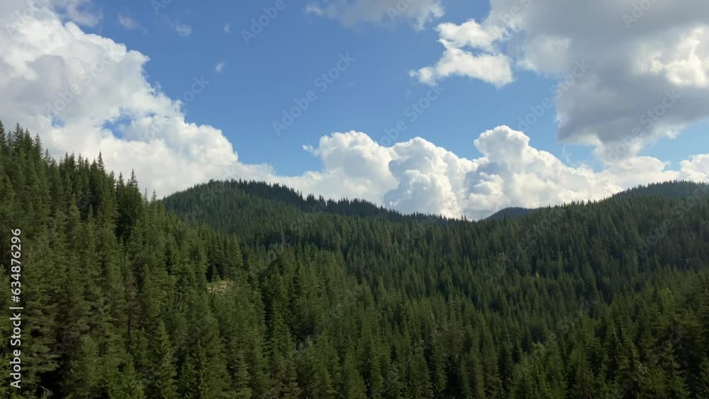 Rodopa mountain forest panorama Bulgaria East Europe Rodopa mountain forest panorama Bulgaria East Europe