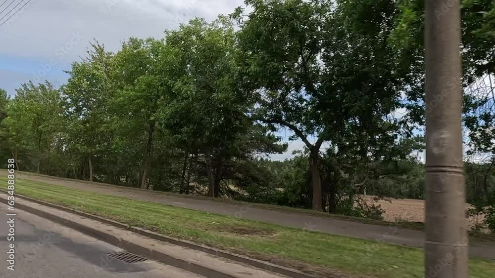 roadside view, asphalt road and landscape in a summer roadside view, asphalt road and landscape in a summer