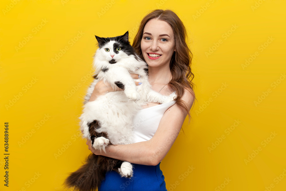 young cute girl holding black and white cat on yellow isolated background and smiling, woman with pet young cute girl holding black and white cat on yellow isolated background and smiling, woman with pet