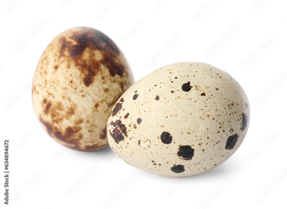 Beautiful speckled quail eggs on white background Beautiful speckled quail eggs on white background