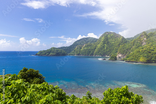 Obraz na płótnie Beautiful landscape view of the National Park of American Samoa on the island of Tutuila. w salonie