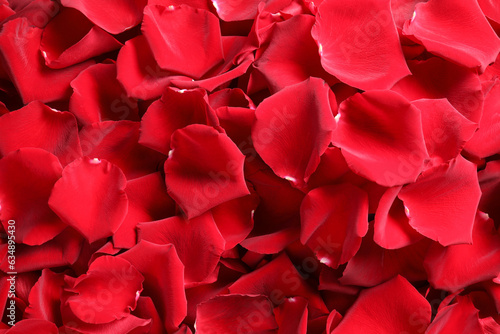 Beautiful red rose petals as background, top view