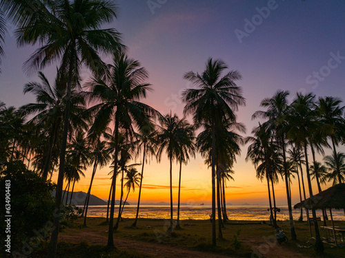 Aerial view coconut fields in the morning glow in orange light..Orange light penetrates the horizon above the coconut forest. coconut fields in the morning glow in orange light..Laem Had Beach
