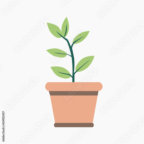plant in a pot on white background vector illustration for nature environment design element and concept