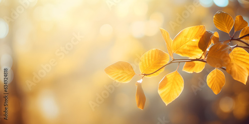 abstract nature autumn Background with yellow leaves and bokeh © sam