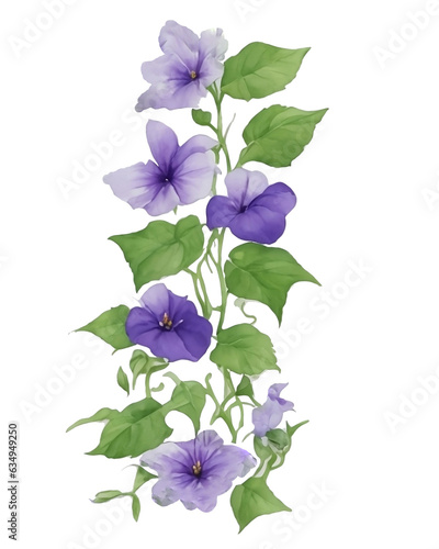 Purple and violet Morning glory flower photo