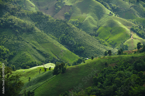 Green mountain scenery,Landscape of green mountains