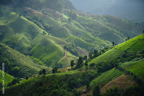Green mountain scenery Landscape of green mountains