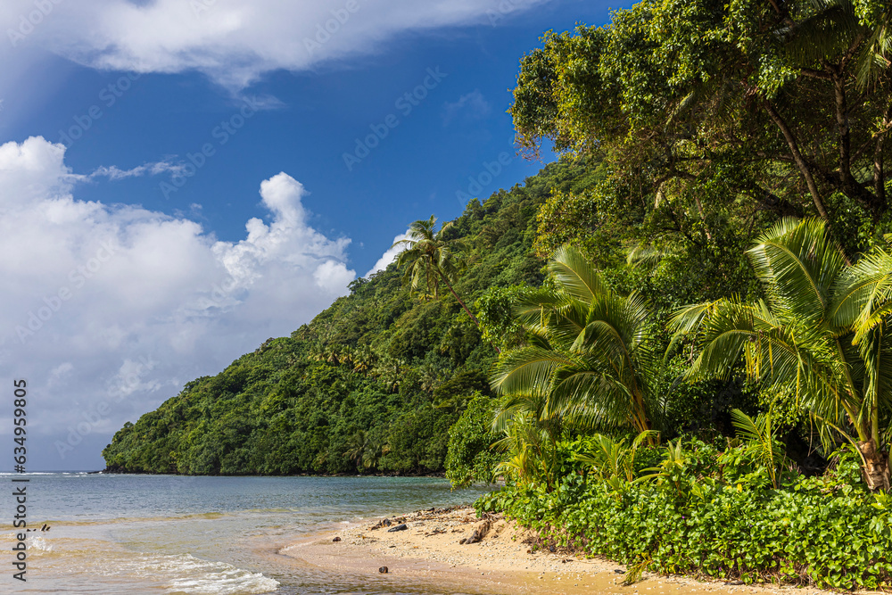 Beautiful landscape view of the National Park of American Samoa on the island of Tutuila.
