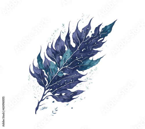 feather isolated