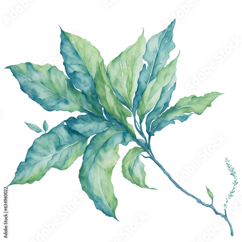 leaves