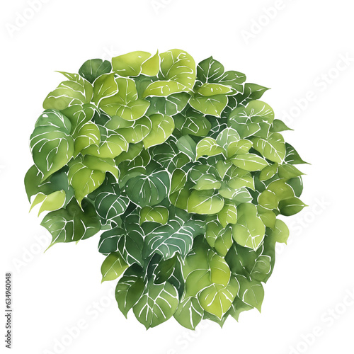 green leaves
