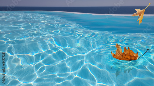 autumn leaf falling holidays swimming pool by the sea for backgorund holidays tourism photo