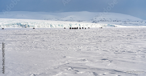 SVALBARD photo