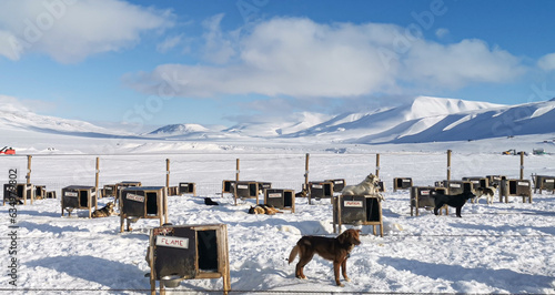 Svalbard photo