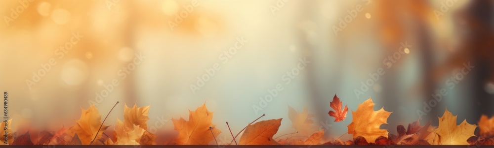Autumn forest banner Autumn forest banner