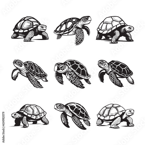 Exploring Diverse Turtles: Monochrome Vector Depictions of Terrestrial and Aquatic Varieties