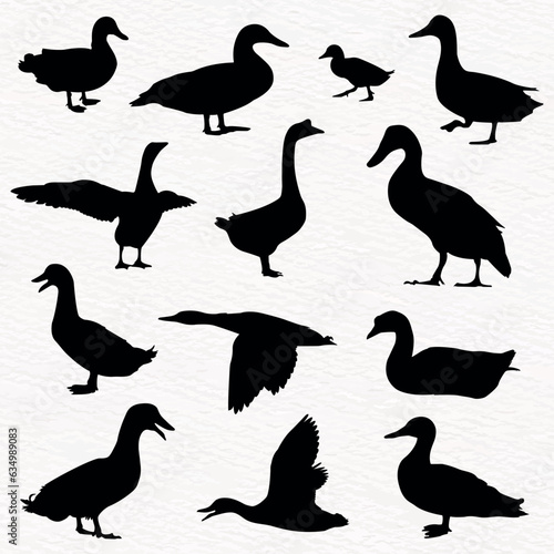 Vector silhouette set of detailed quality duck, goose and baby duck in farm
