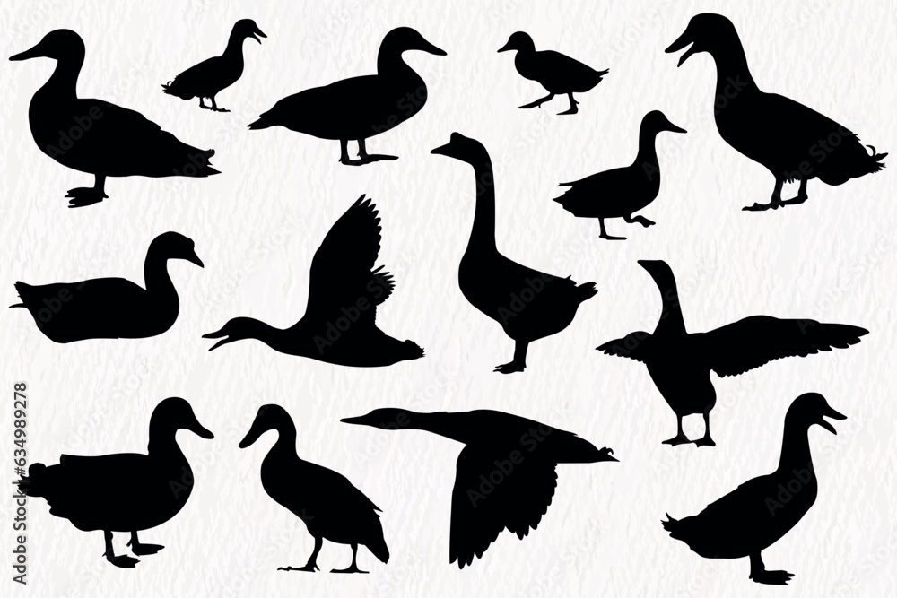 Vector silhouette set of detailed quality duck, goose and baby duck in farm
Vector silhouette set of detailed quality duck, goose and baby duck in farm