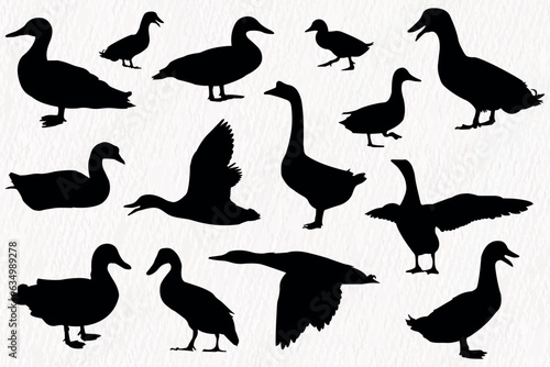 Vector silhouette set of detailed quality duck, goose and baby duck in farm
