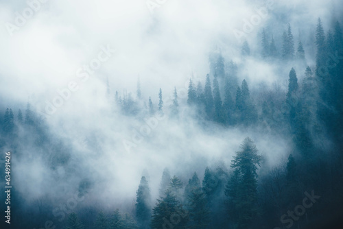 mist-fog  among the trees - Forest in Himachal Pradesh, Tosh, Himalayas  - India photo
