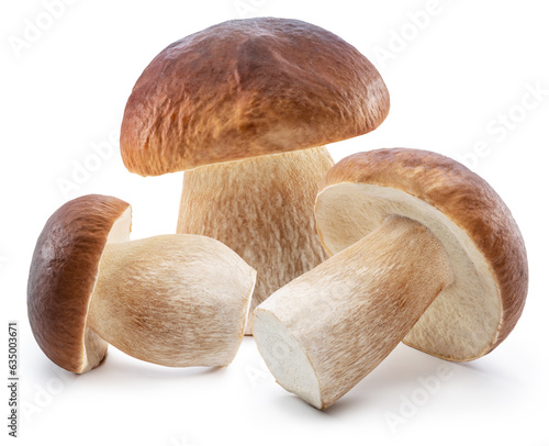 Porcini mushrooms on white background. File contains clipping path.