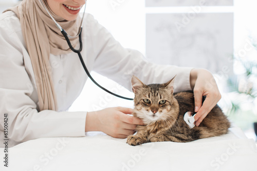 Fototapeta Naklejka Na Ścianę i Meble -  Female veterenary listening to cat's lungs with stethoscope