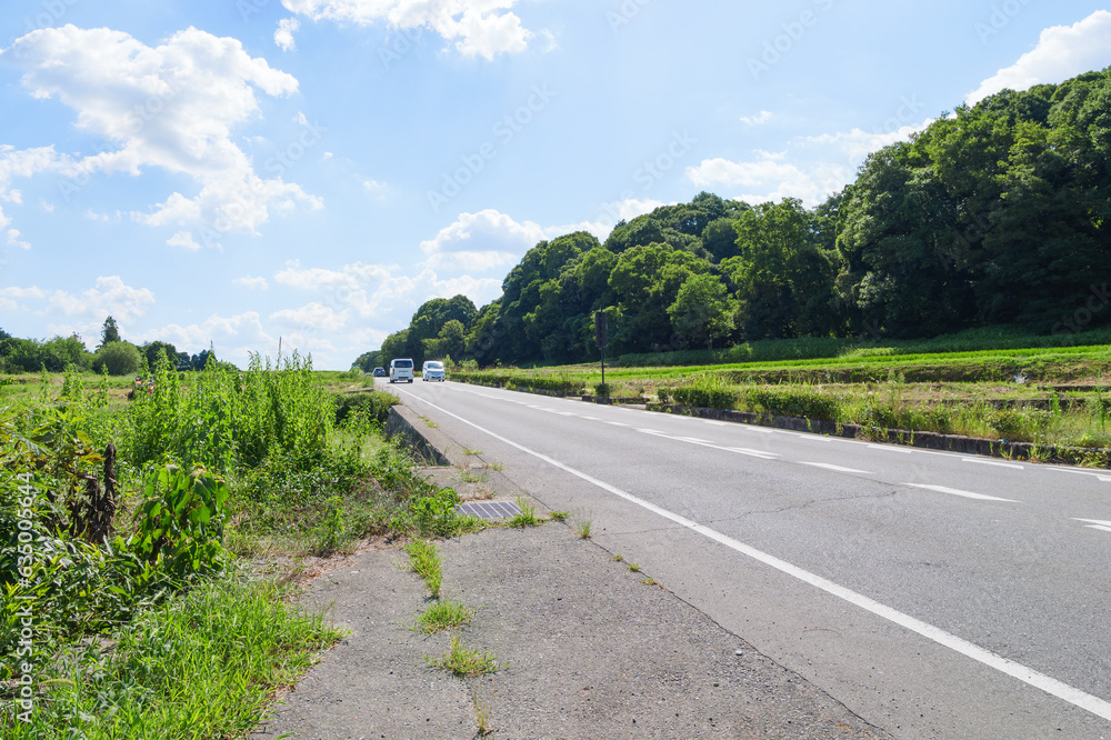Scenery of a roadway in the Japanese countryside, summer