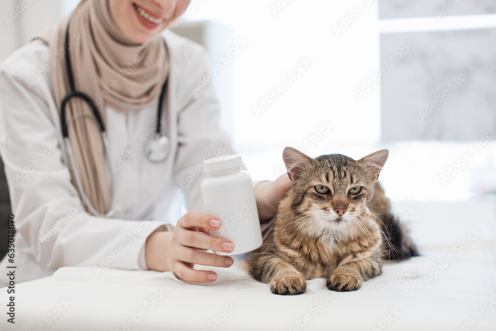 Adult cat lying on exam couch near vet with pills bottle