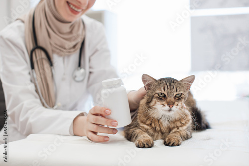 Fototapeta Naklejka Na Ścianę i Meble -  Adult cat lying on exam couch near vet with pills bottle