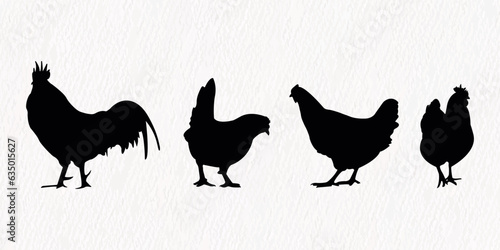 Vector silhouette set of detailed quality chickens - hens, poultry, roosters, cock and baby chicks in farm