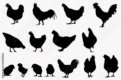 Vector silhouette set of detailed quality chickens - hens, poultry, roosters, cock and baby chicks in farm