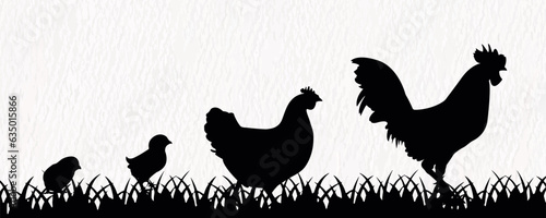 Vector silhouette set of detailed quality chickens - hens, poultry, roosters, cock and baby chicks in farm