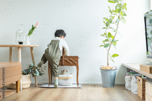 春の日中の観葉植物のあるリビングで家具に乗ろうとするサロペットを着た日本人の園児の後ろ姿 photo