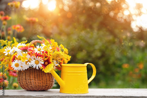 Fototapeta Naklejka Na Ścianę i Meble -  wicker basket with flowers bouquet and watering can in garden,  natural abstract background. summer season. harvest time. rustic composition with flowers. relax time. template for design. copy space
