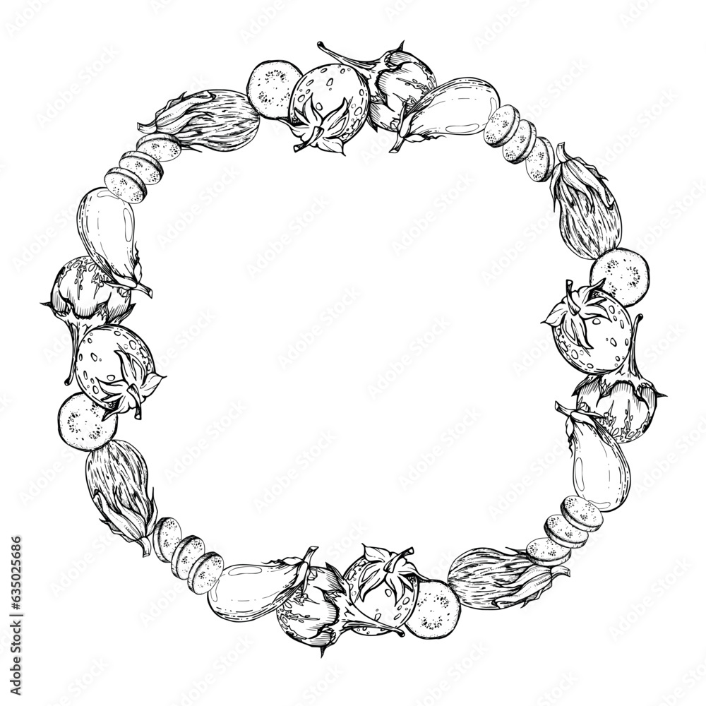 Hand drawn ink vector pumpkin gourd squash. Sketch illustration art for