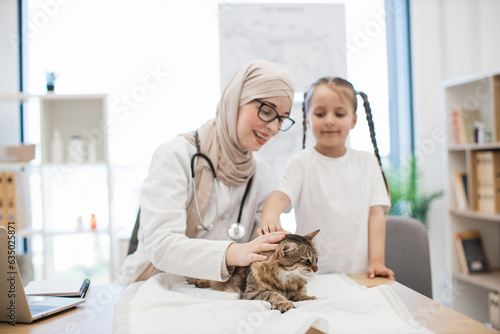 Fototapeta Naklejka Na Ścianę i Meble -  Female specialist and owner stroking cat during vet exam
