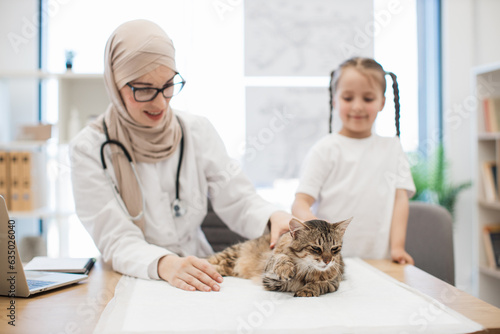 Female specialist and owner stroking cat during vet exam