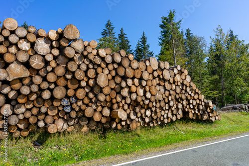 stack of wood in the thuringian forest