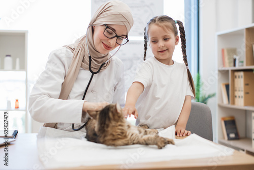 Fototapeta Naklejka Na Ścianę i Meble -  Doctor listening to pet's lungs with stethoscope near child