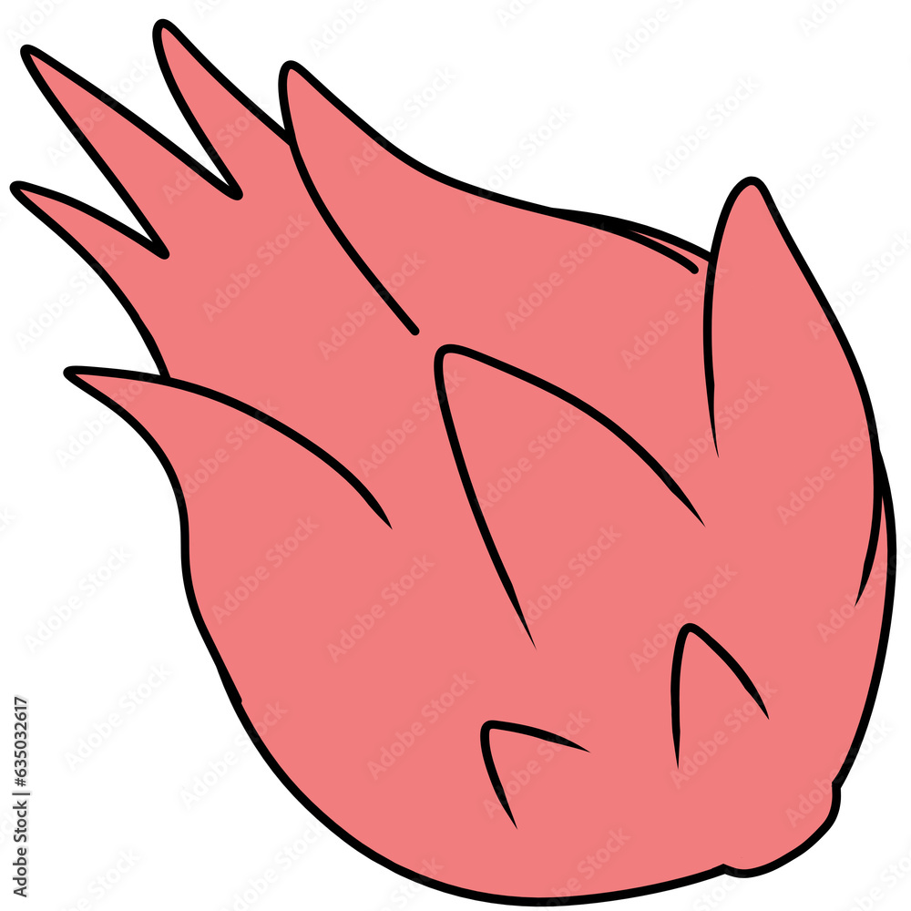 Dragon fruit Dragon fruit