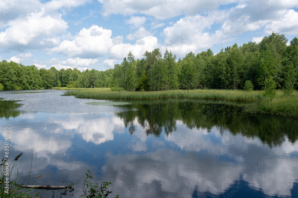 Fototapeta premium Lake in green nature with blue sky and white clouds