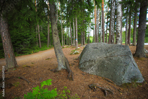 Kuusijärvi Outdoor Recreation Area, hiking trail in Sipoonkorpi-National Park - Finland photo